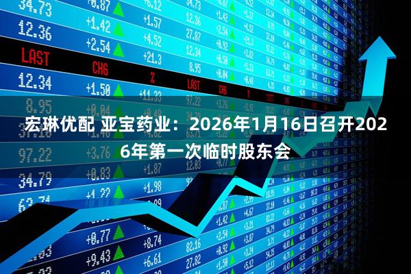 宏琳优配 亚宝药业：2026年1月16日召开2026年第一次临时股东会